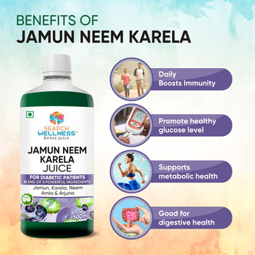 Jamun Neem Karela Juice